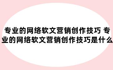 专业的网络软文营销创作技巧 专业的网络软文营销创作技巧是什么